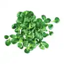 Bild 1 von Feldsalat