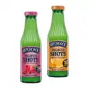 Bild 1 von HITCHCOCK Ingwer-Shots