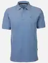 Bild 1 von Herren Poloshirt mit kurzem Arm Blau