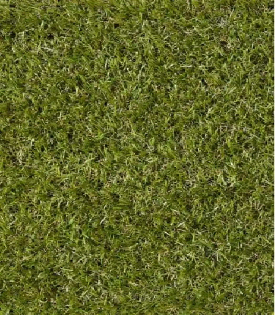 Bild 1 von Andiamo Kunstrasen Sydney 2 x 3 m grün mit Drainagelöchern