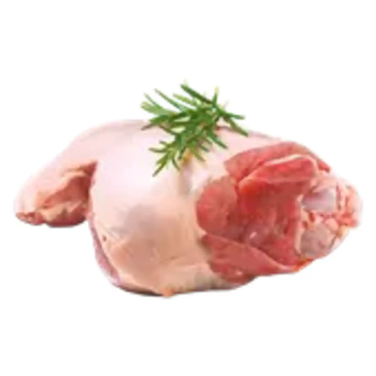 Bild 1 von Frische Lammkeule mit Knochen