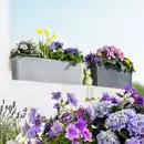 Bild 1 von Powertec Garden Geländer-Hängetopf 2in1