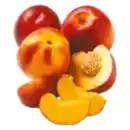 Bild 1 von Nektarinen