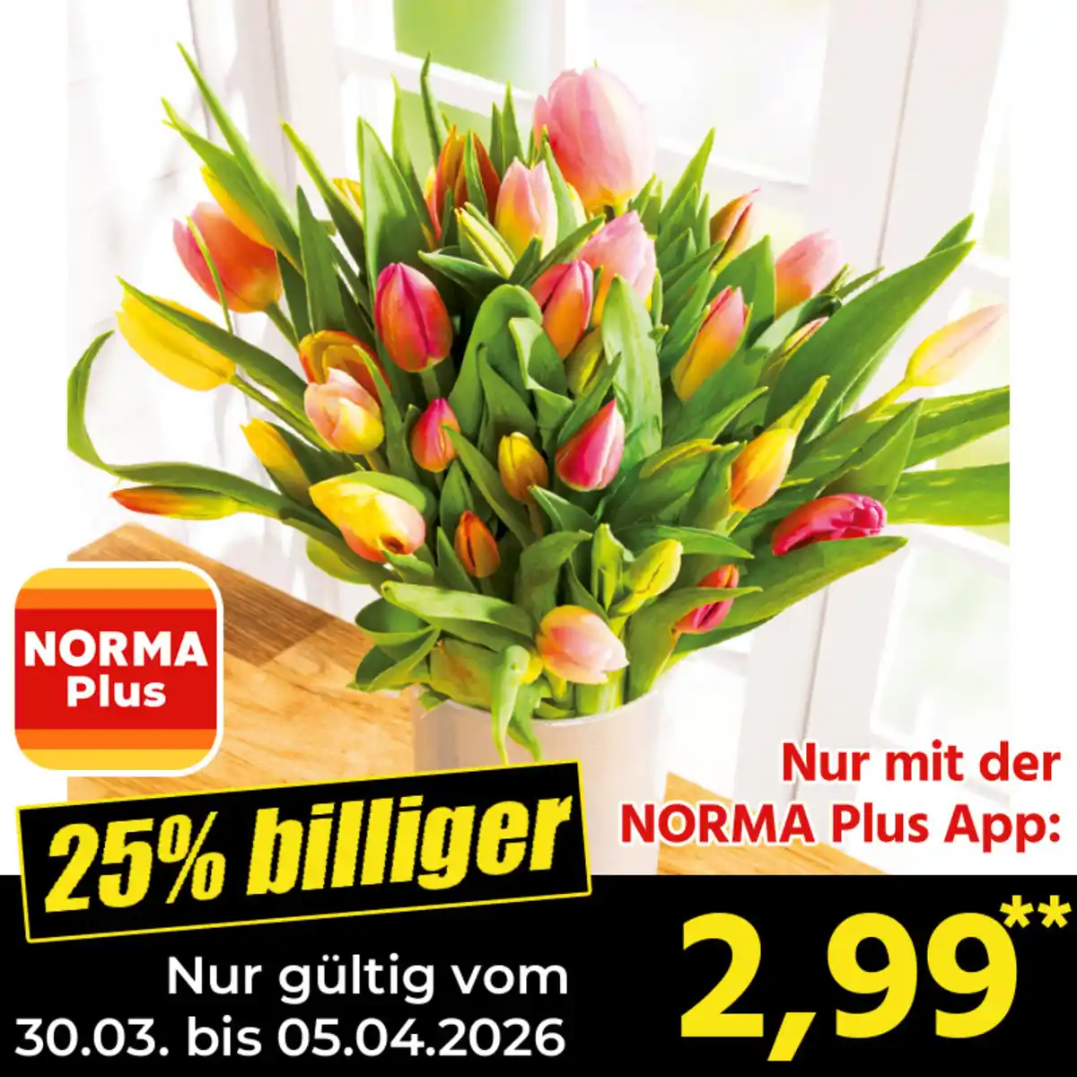 Bild 1 von Finest Garden Harlekin Tulpenstrauß