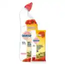 Bild 1 von Sagrotan Reiniger, WC-Reiniger oder Allzweck-Reinigungstücher