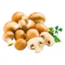 Bild 1 von Kulturchampignons braun