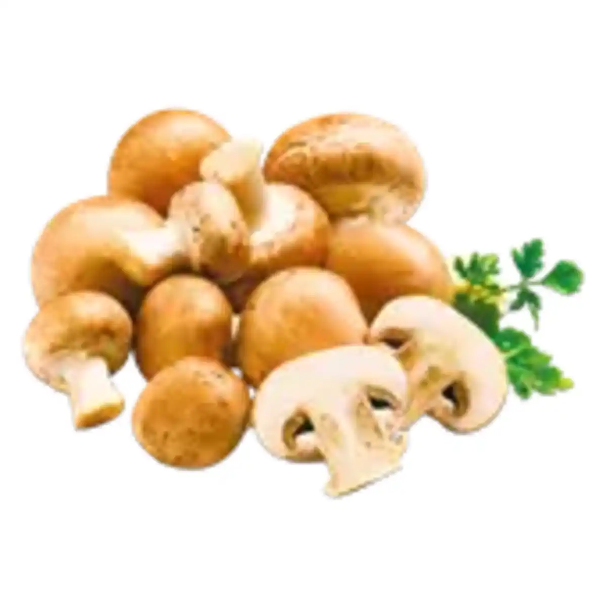 Bild 1 von Kulturchampignons braun