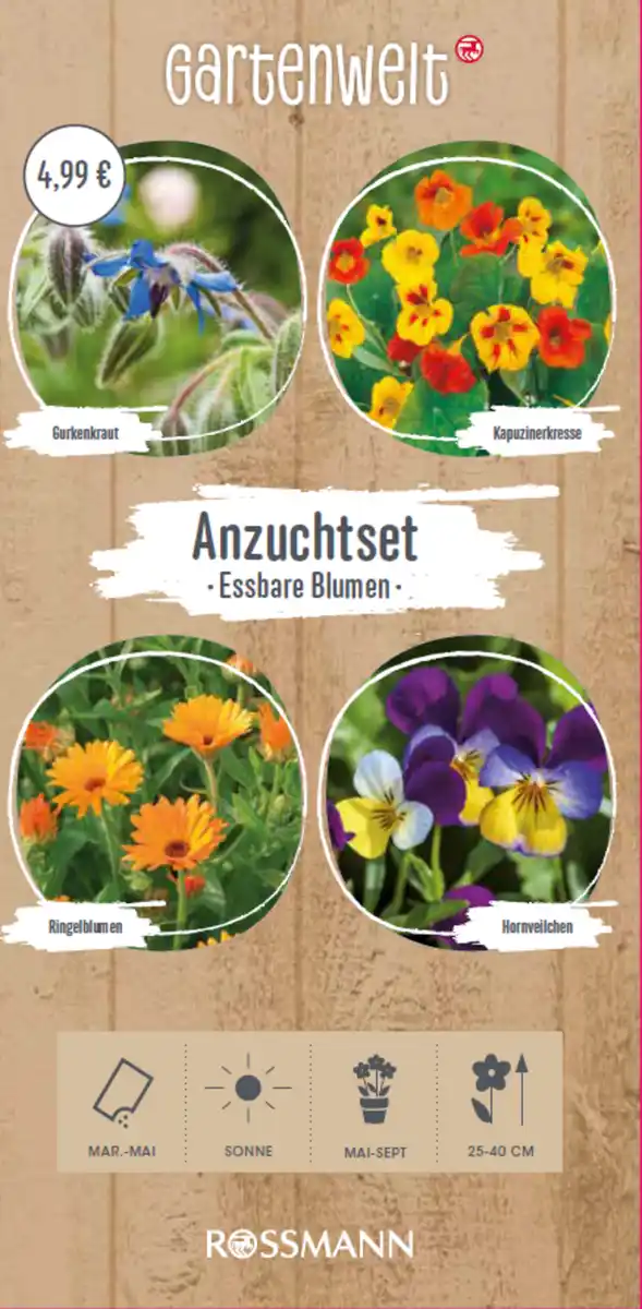 Bild 1 von GARTENWELT Anzuchtset essbare Blumen, 4,3 g