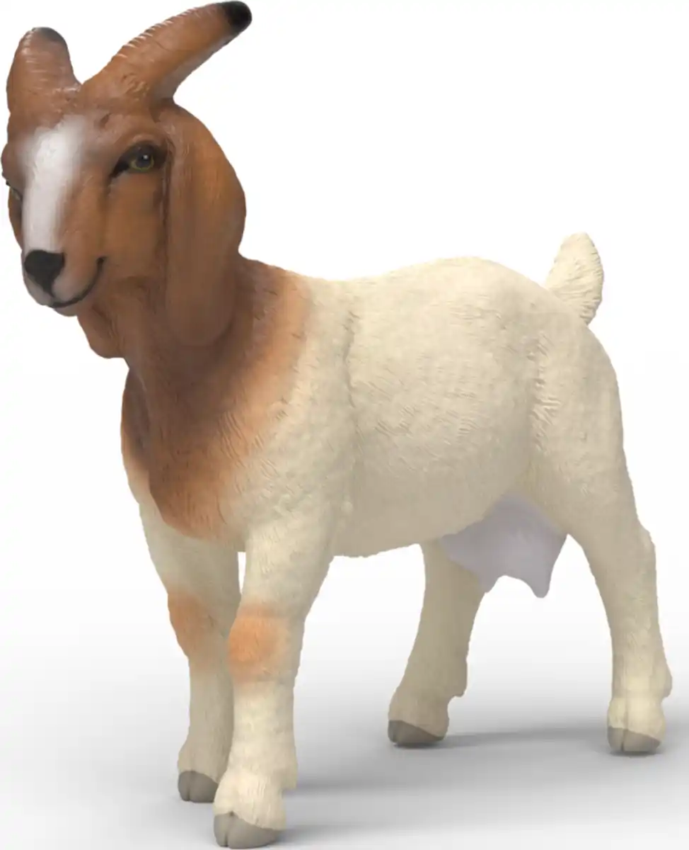 Bild 1 von Schleich 14929 Burenziege