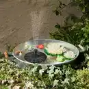 Bild 1 von Solar-Wasserpumpe, Ø ca. 16 cm