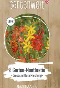 GARTENWELT Crocosmia Mischung