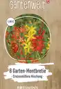 Bild 1 von GARTENWELT Crocosmia Mischung
