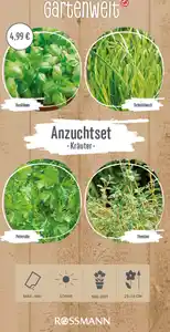GARTENWELT Anzuchtset Kräuter, 4 g