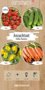 GARTENWELT Anzuchtset süßes Gemüse, 8,2 g