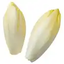 Bild 1 von Chicoree 500 g