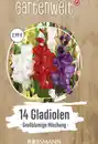 Bild 1 von GARTENWELT Gladiolen Mischung