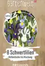 Bild 1 von GARTENWELT Holländische Schwertlilie Hollandica-Mischung