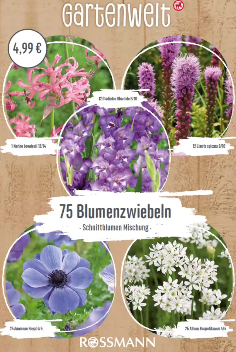 Bild 1 von GARTENWELT Blumenzwiebeln Schnittblumen