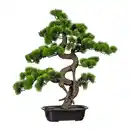 Bild 1 von Kunstpflanze Bonsai ca. 65cm, Grün