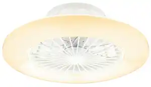 Deckenventilator 03628 max. 40 Watt, Opal, Silberfarben, Weiß