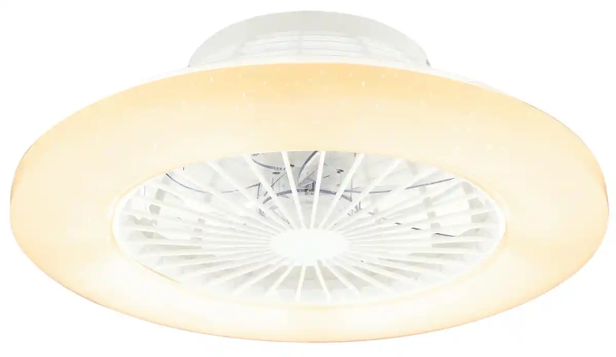 Bild 1 von Deckenventilator 03628 max. 40 Watt, Opal, Silberfarben, Weiß