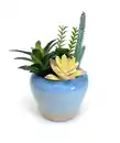 Bild 1 von Künstliches Sukkulenten-Arrangement, blau