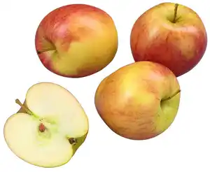 Tafeläpfel von Familie Hartmann aus Heilbronn-Hohenlohe, kg