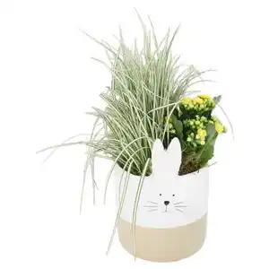GARDENLINE Bepflanzter Kermamiktopf Hasengesicht