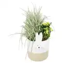 Bild 1 von GARDENLINE Bepflanzter Kermamiktopf Hasengesicht