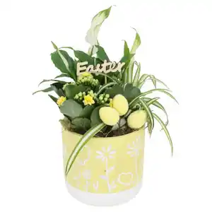 GARDENLINE Bepflanzter Betontopf gelb