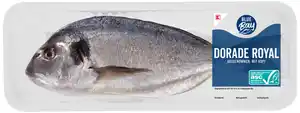 K-BLUE BAY Dorade Royal, kg