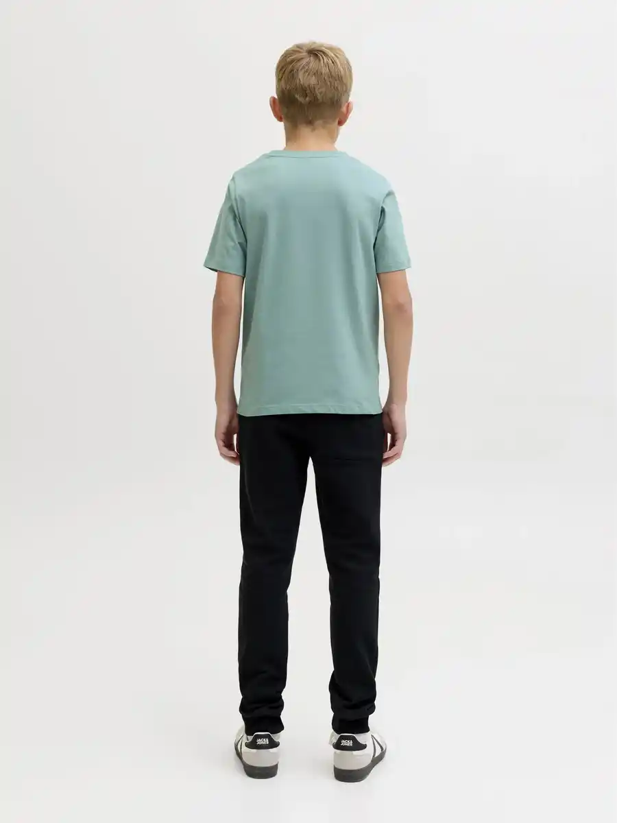 Bild 1 von Jack & Jones Junior JJCOLE PRINT TEE SS CREW NECK JNR T-Shirt Blau