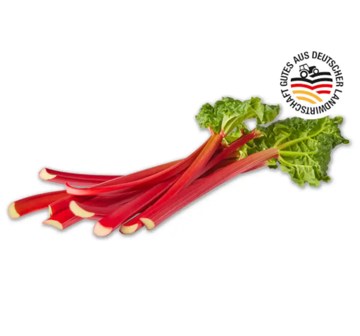 Bild 1 von Deutscher Rhabarber*