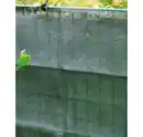 Bild 1 von Sichtschutz