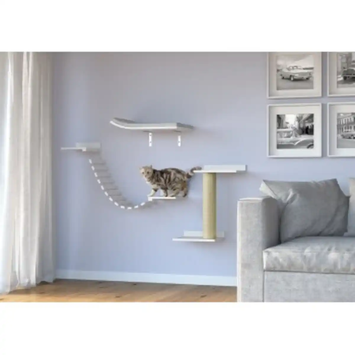 Bild 1 von AniOne Wandkletter- und Kratz-Set