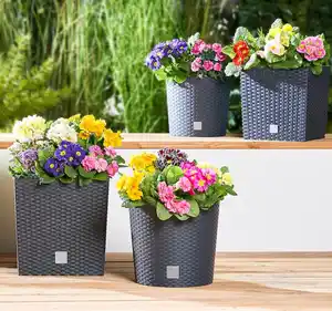 PROSPERPLAST Blumentopf RATO*