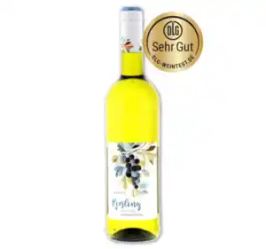 Rheinhessen WEINFELS