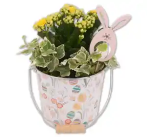 Bepflanzter Zinktopf*