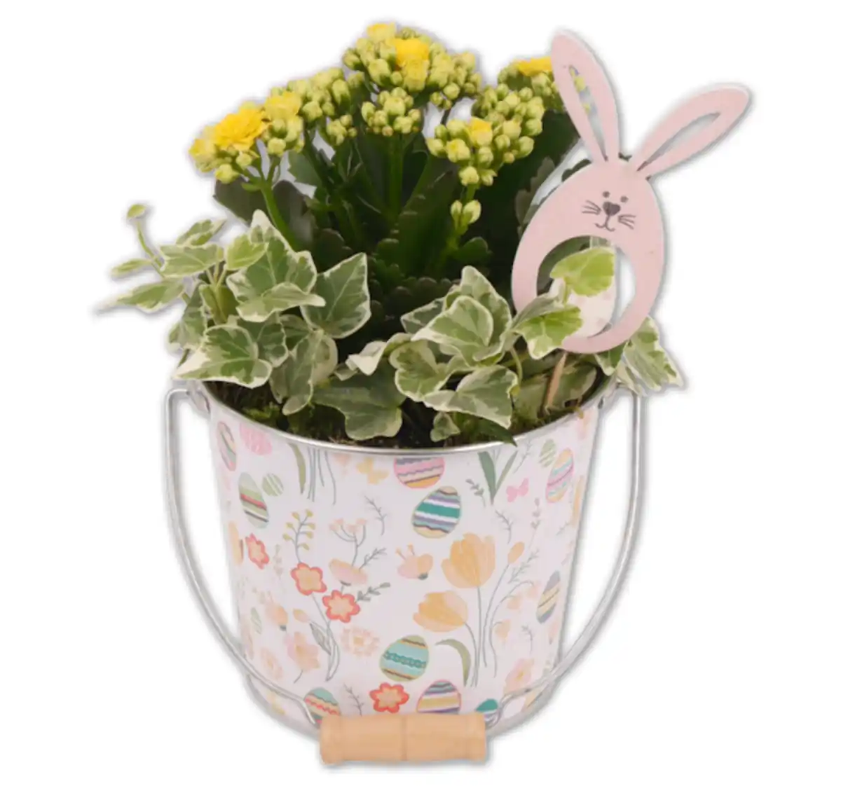 Bild 1 von Bepflanzter Zinktopf*