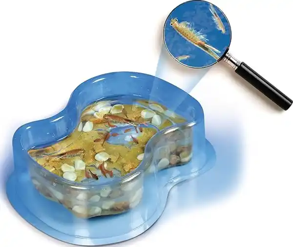 Bild 3 von Clementoni Galileo Original Salzkrebse