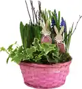Bild 1 von Osterarrangement Frühlingskorb Hyazinthe, Muscari & Hedera im Bambuskorb