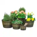 Bild 1 von Blumentopf