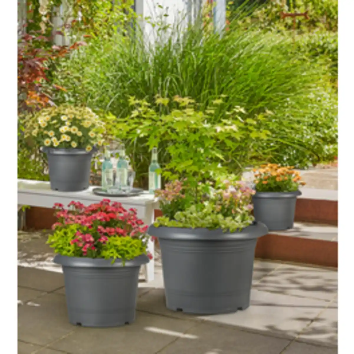 Bild 3 von SCHEURICH Pflanzgefäß »Oliver«, ØxH: 35 x 25 cm, grau