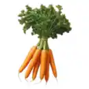 Bild 1 von Bundmöhren