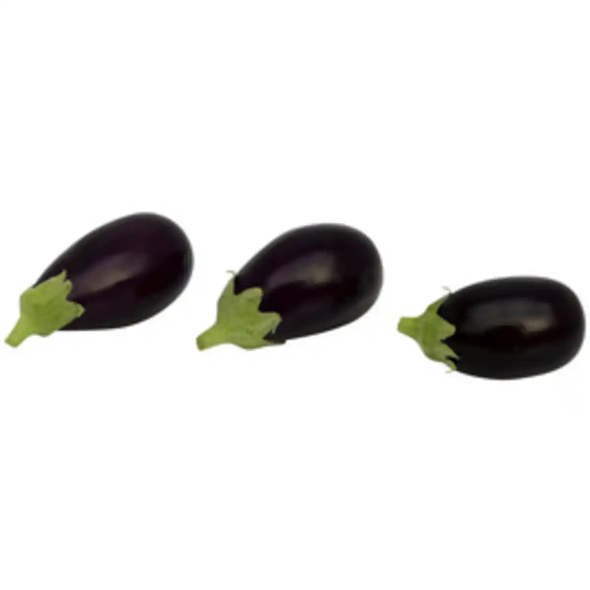 Bild 2 von Gartenkrone Aubergine Solanum melongena »Bakota«