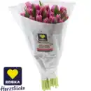 Bild 1 von Tulpen