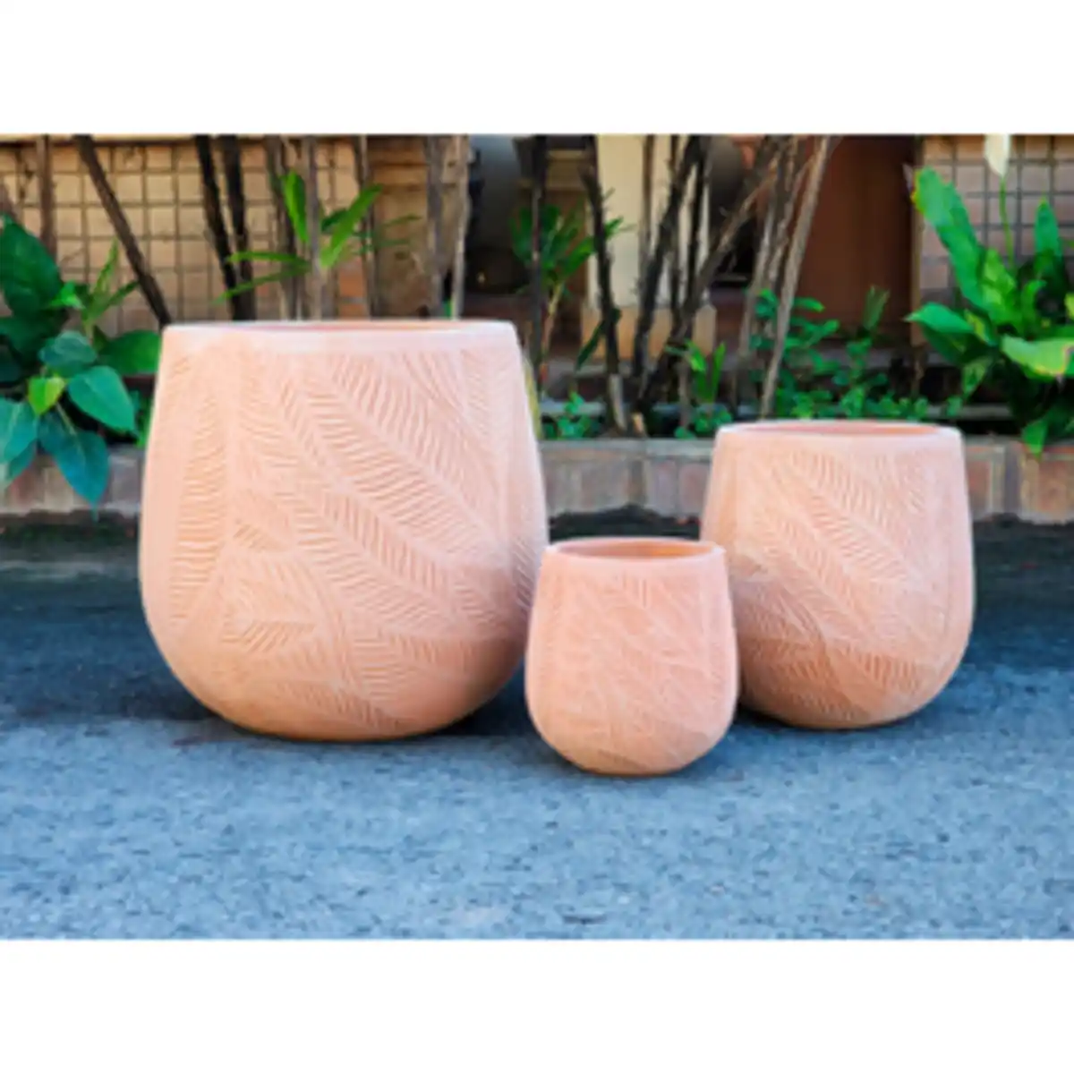 Bild 2 von Pflanzgefäß, White Washed Terracotta mit Blattmuster, HxØ: 26 x 27 cm