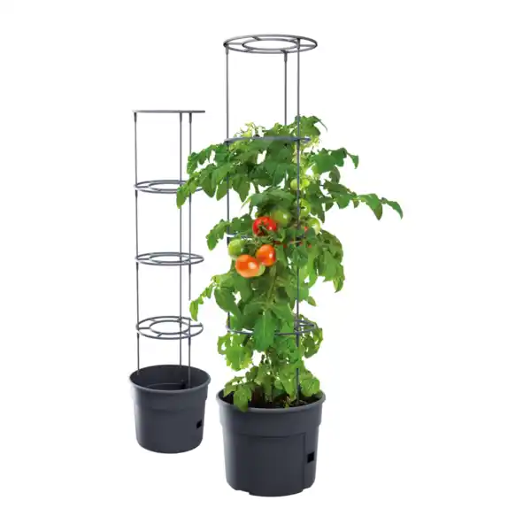 Bild 3 von GARDENLINE Pflanztopf mit Rankhilfe