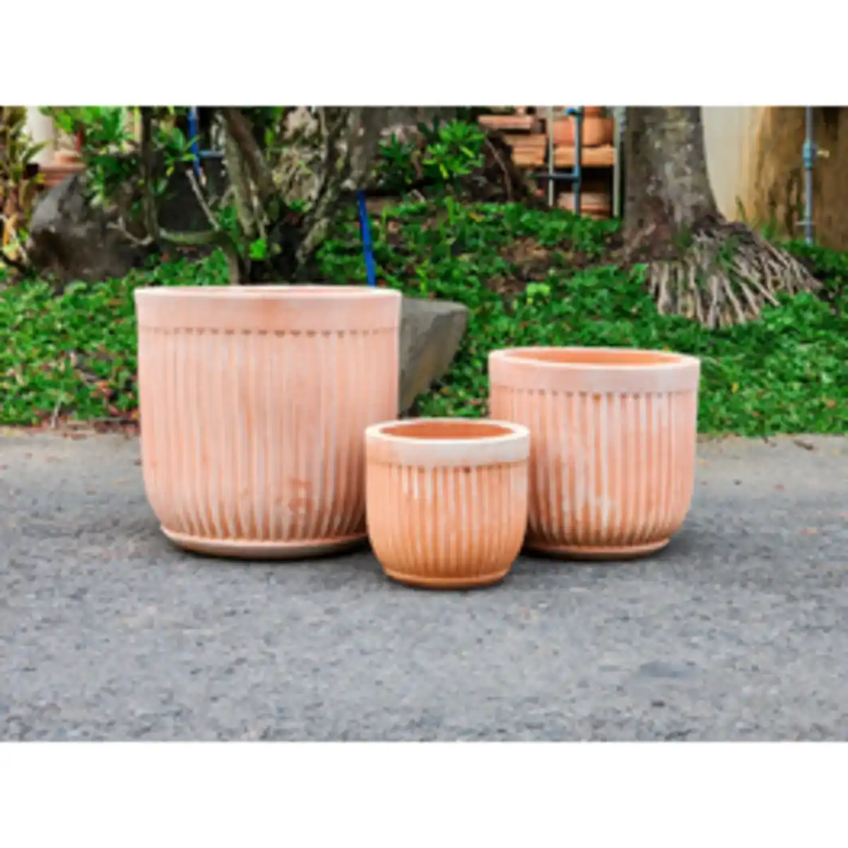 Bild 2 von Pflanzgefäß, White Washed Terracotta mit Rillen, HxØ: 21 x 20 cm