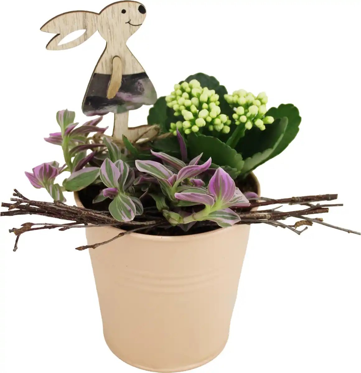 Bild 1 von Osterarrangement Hasengarten Calandiva & Tradescantia im Zinktopf